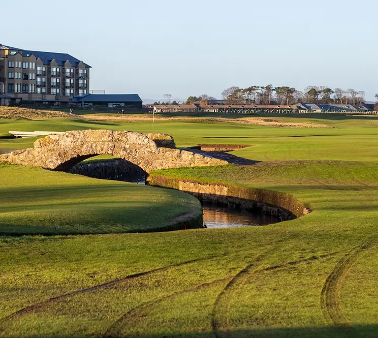 Modern Golf Brand